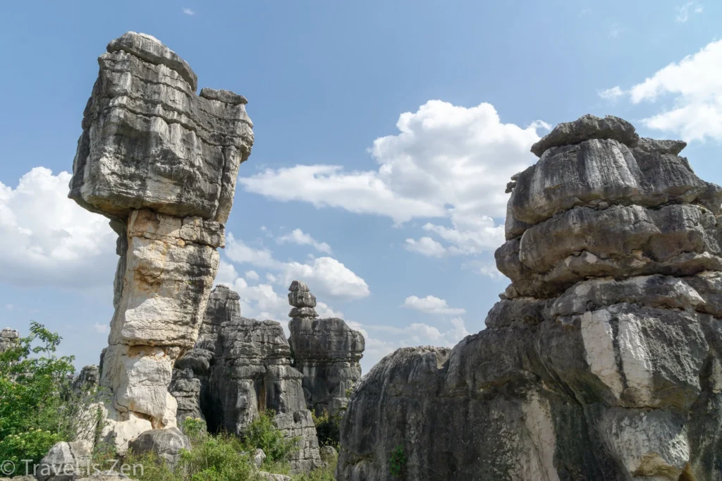 Stone+Forest-tibet - Tour Travel Tibet: Expert Tibet Tours & Permits
