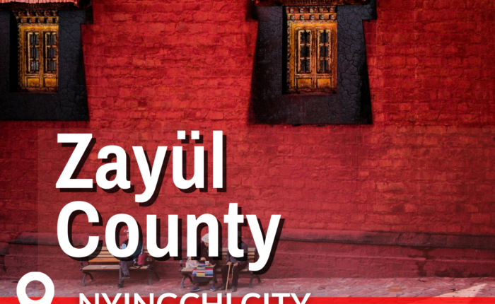 Zayul County
