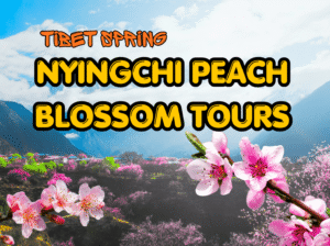 Nyingchi Peach Blossom tour
