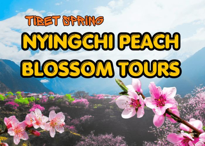 Nyingchi Peach Blossom tour