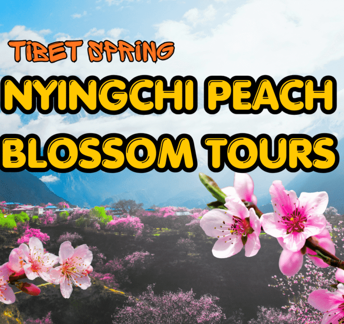 Nyingchi Peach Blossom tour