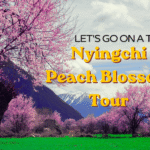 Nyingchi Peach Blossom tour1