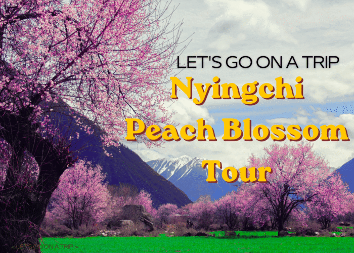 Nyingchi Peach Blossom tour1