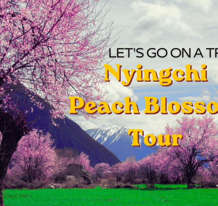 Nyingchi Peach Blossom tour1