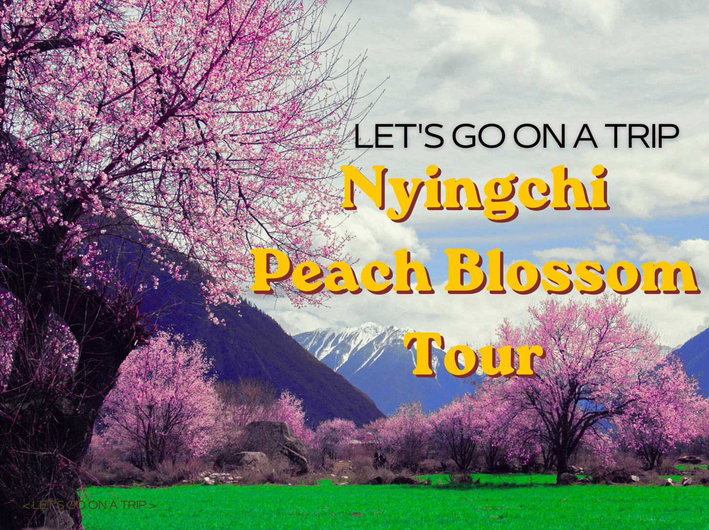 Nyingchi Peach Blossom tour1