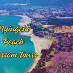Nyingchi Peach Blossom tour3