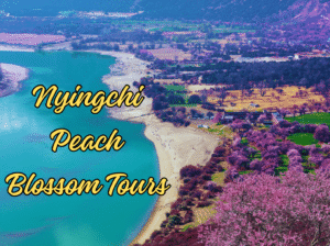 Nyingchi Peach Blossom tour3